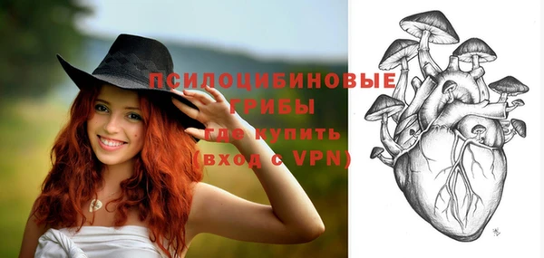a pvp Инта