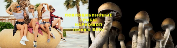 a pvp Инта